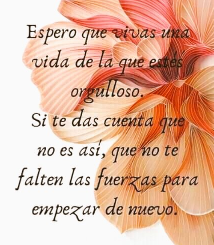 FRASE DE HOY...