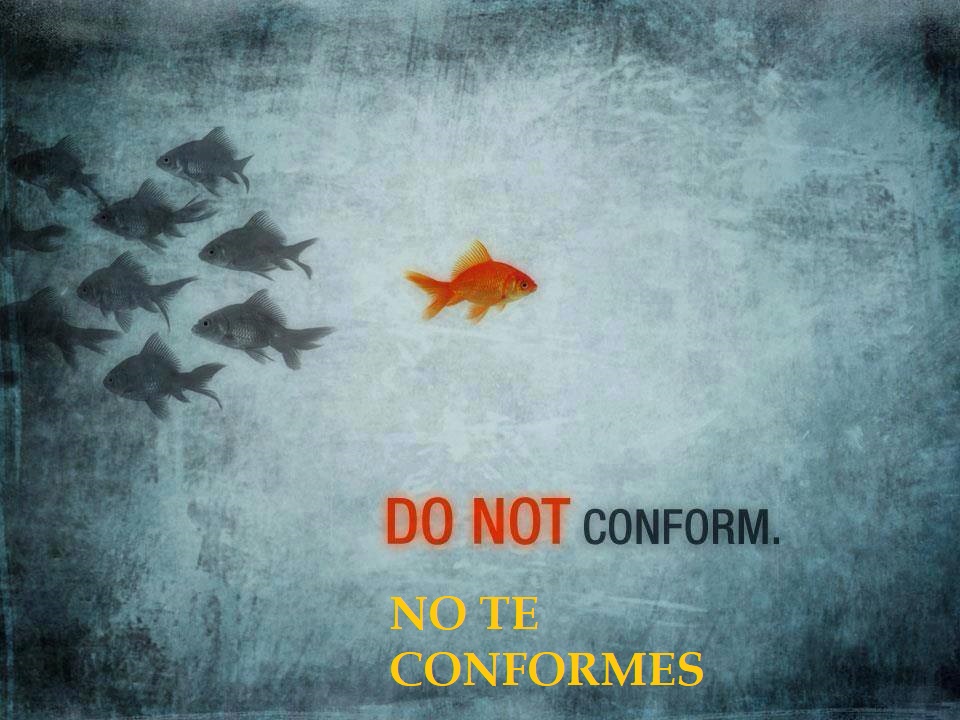 FRASE DE HOY...