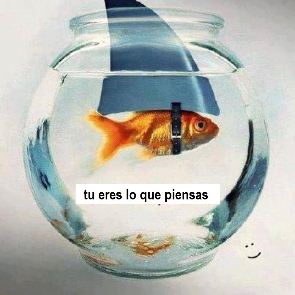 FRASE DE HOY...