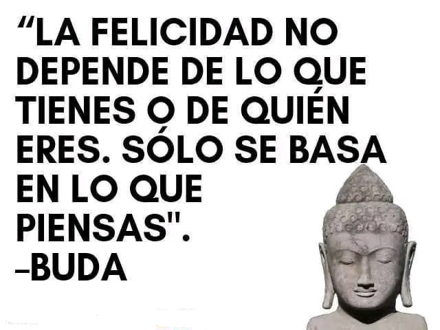 FRASE DE HOY...
