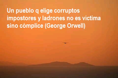 FRASE DE HOY...