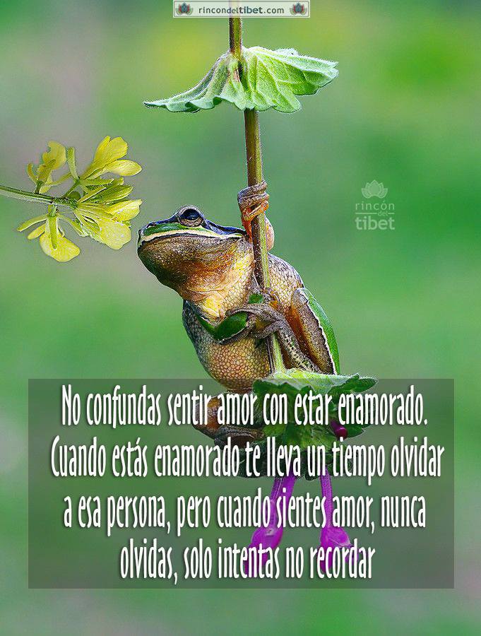 FRASE DE HOY...