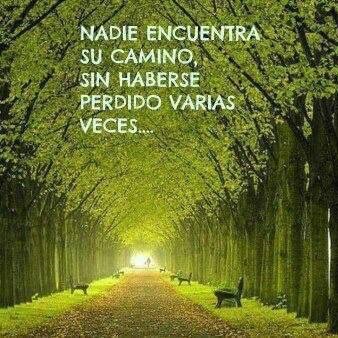 FRASE DE HOY...
