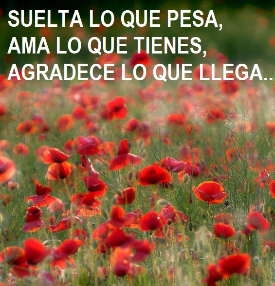 FRASE DE HOY...