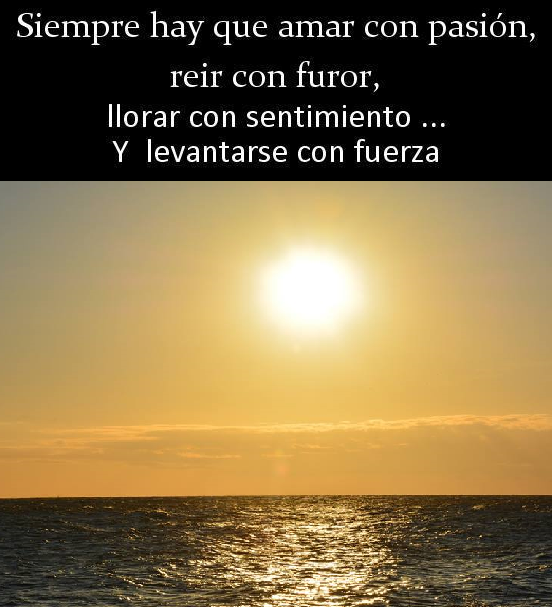 FRASE DE HOY...