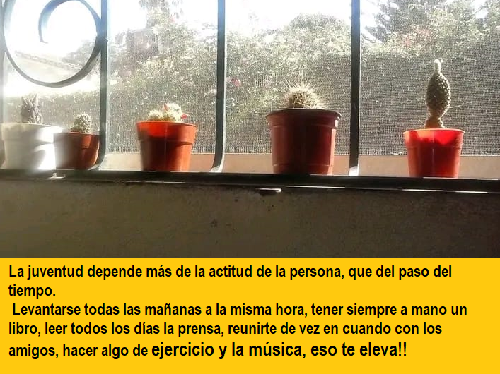 FRASE DE HOY...