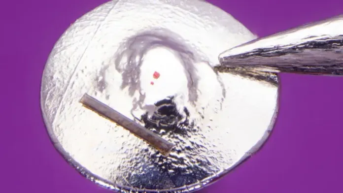 Micro artista establece récord mundial con la escultura más pequeña del mundo