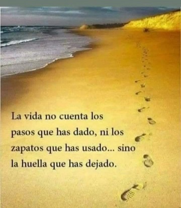 FRASE DE HOY...