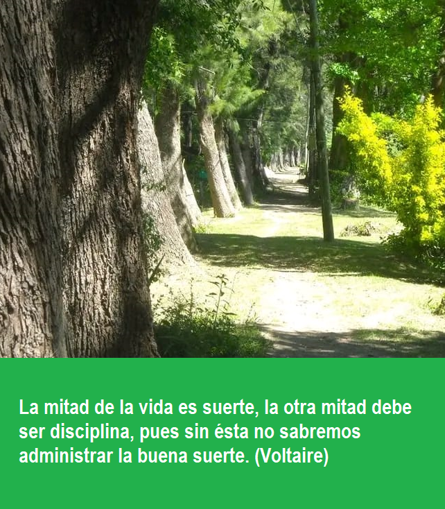 FRASE DE HOY...