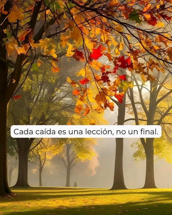 FRASE DE HOY...
