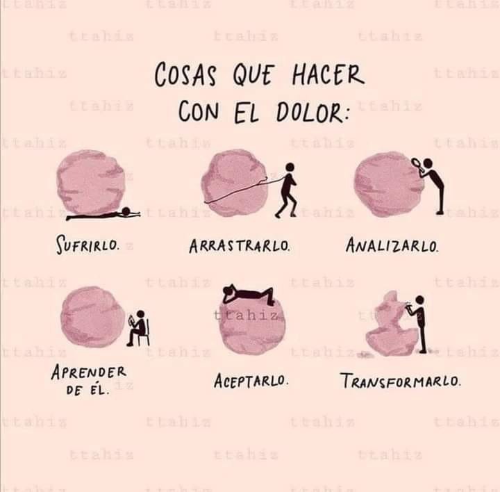 FRASE DE HOY...