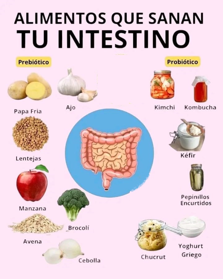 ALIMENTOS PARA EL INTESTINO
