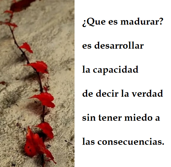FRASE DE HOY...