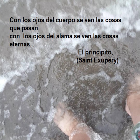 FRASE DE HOY...