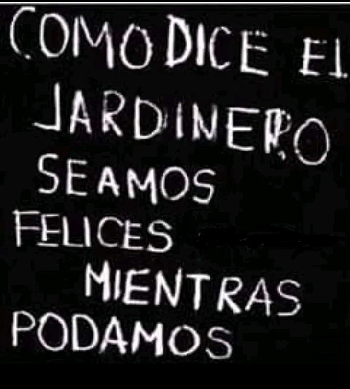 FRASE DE HOY...