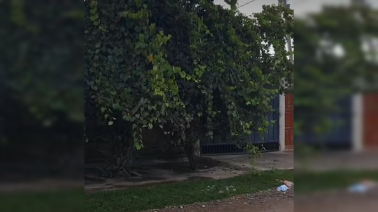 Intentó matar a su esposa y se suicidó