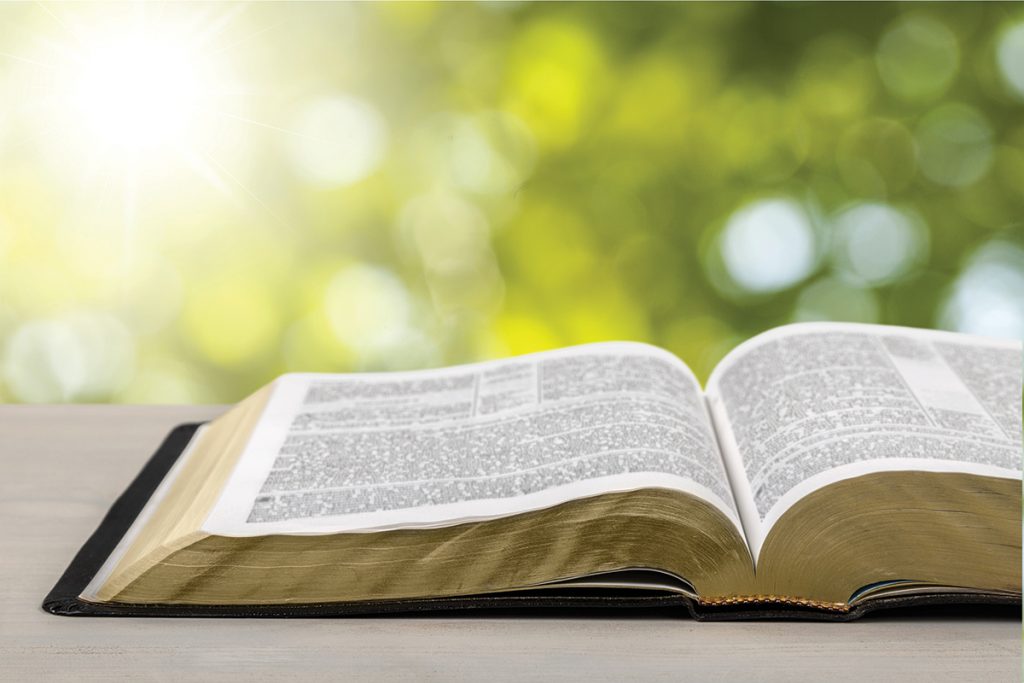 LECTURAS DE ESTE FIN DE SEMANA