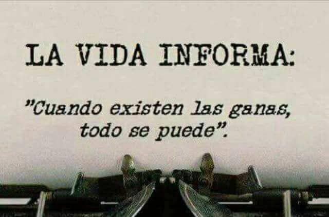 FRASE DE HOY...