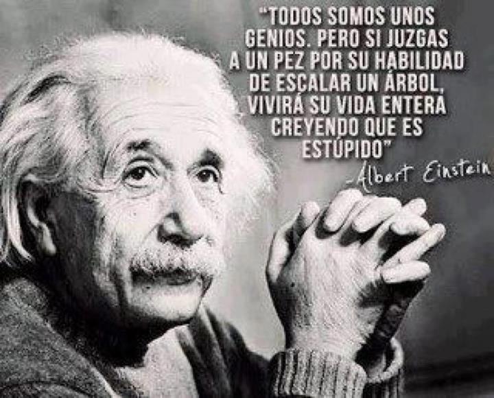 FRASE DE HOY...