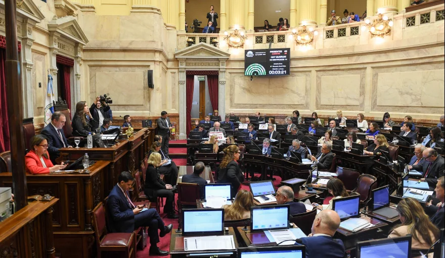 El Senado volteó los vetos al Financiamiento Universitario y la Ley Garrahan