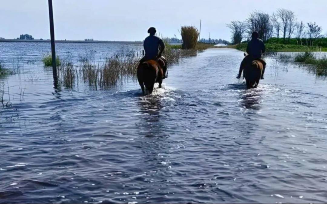 visita de Bulrrich en 9 de Julio