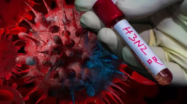 Alerta sanitaria: confirman un caso de gripe H3N2 en la provincia de Buenos Aires