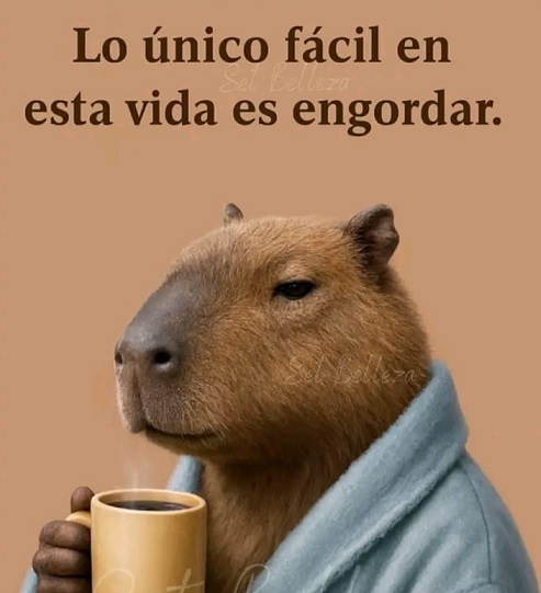 REIRSE HACE BIEN