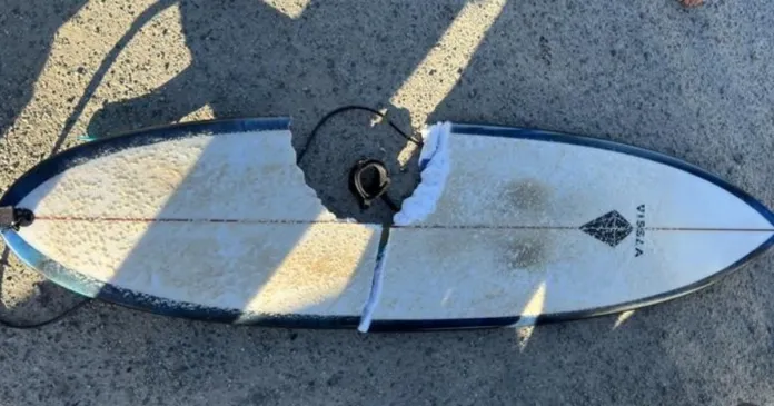 Su tabla de surf lo salvó de una mordida asesina de un tiburón